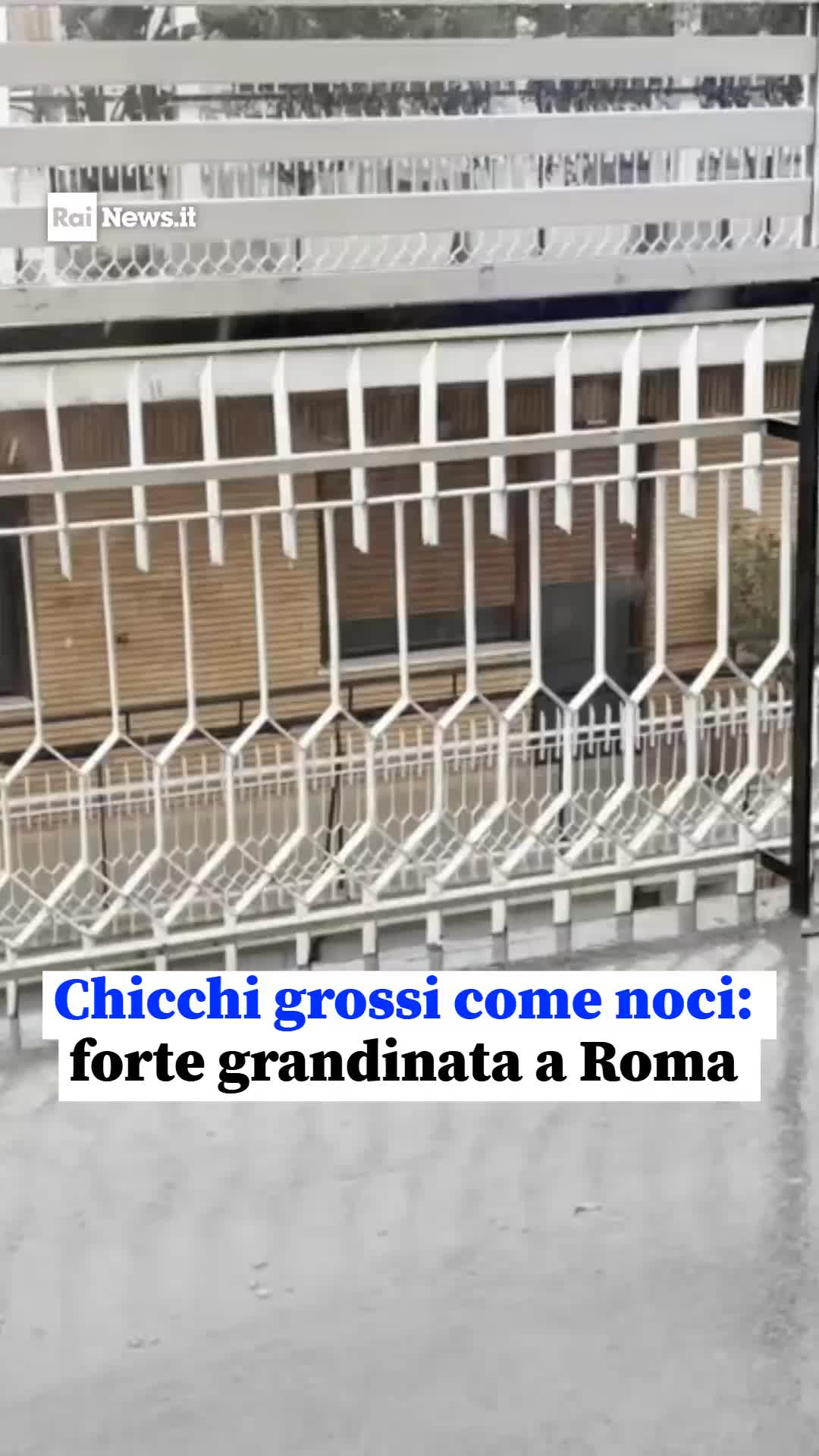 @RaiNews