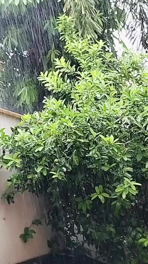 @Ch.Nadeem 7656