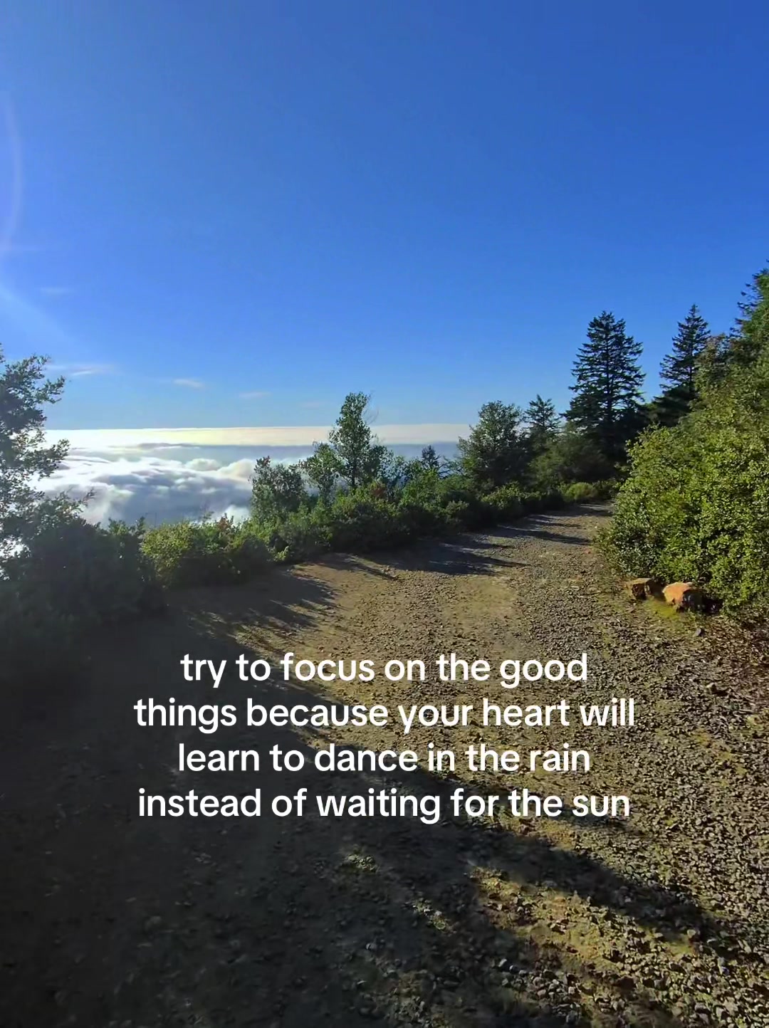 @soulreacher