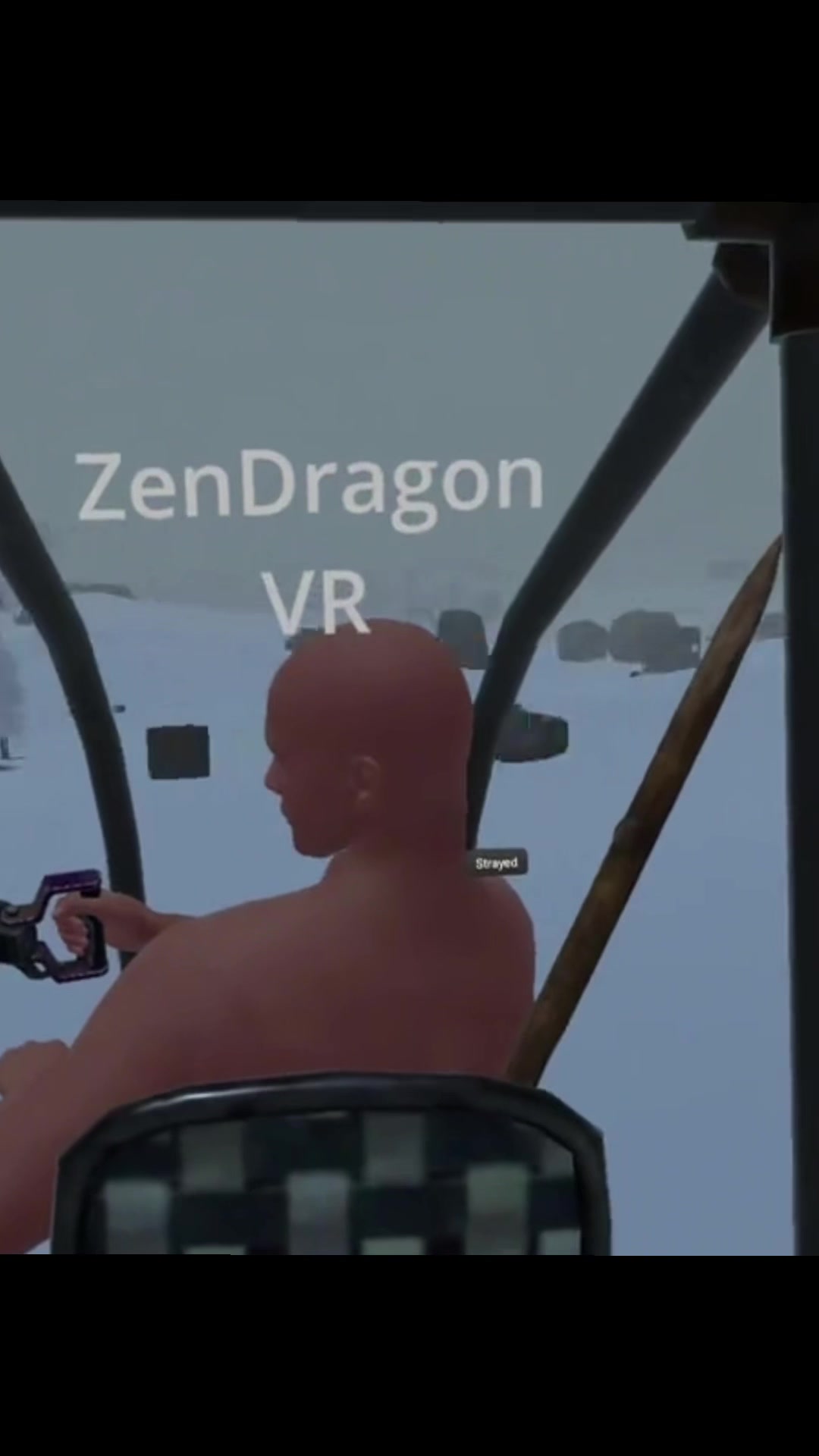 @ZenDragonVR