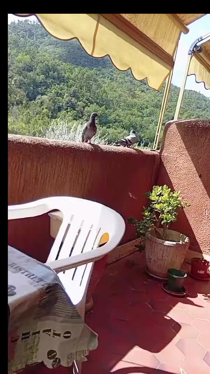 @Amodomio🤷😉