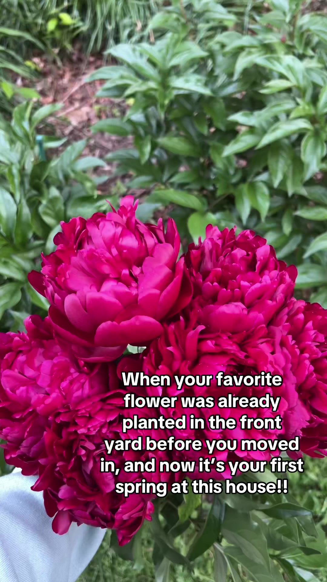 @ansleyinalexandria