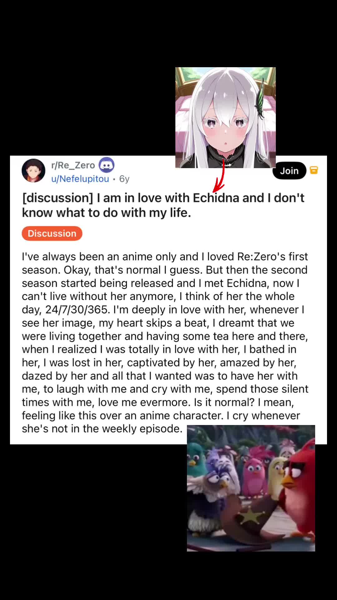 @Milkies/Echidna
