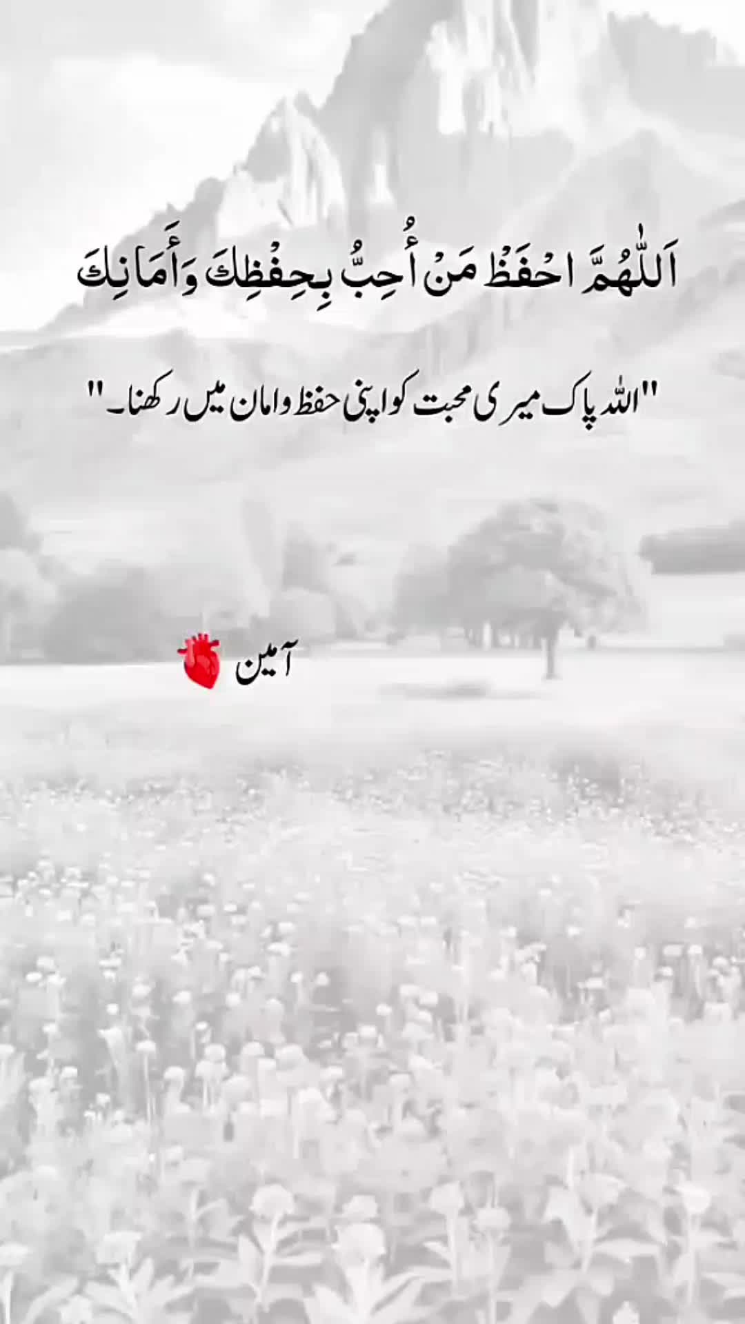 @Shahid Naz 🇮🇹