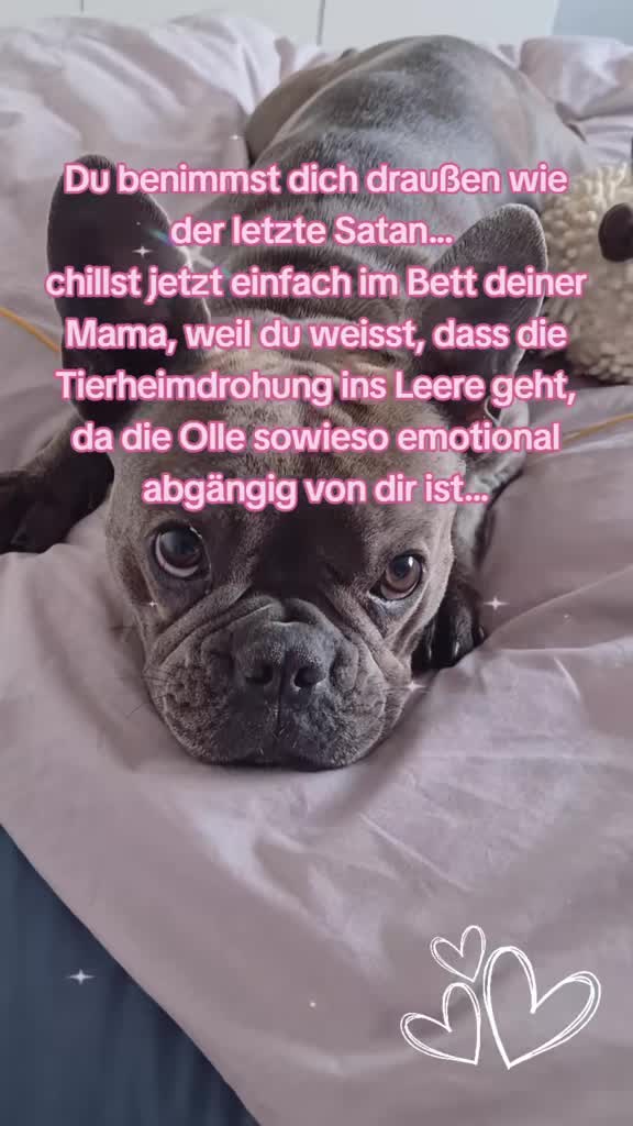 @FrenchieFrieda