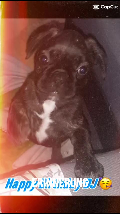 @💥Teddy💥