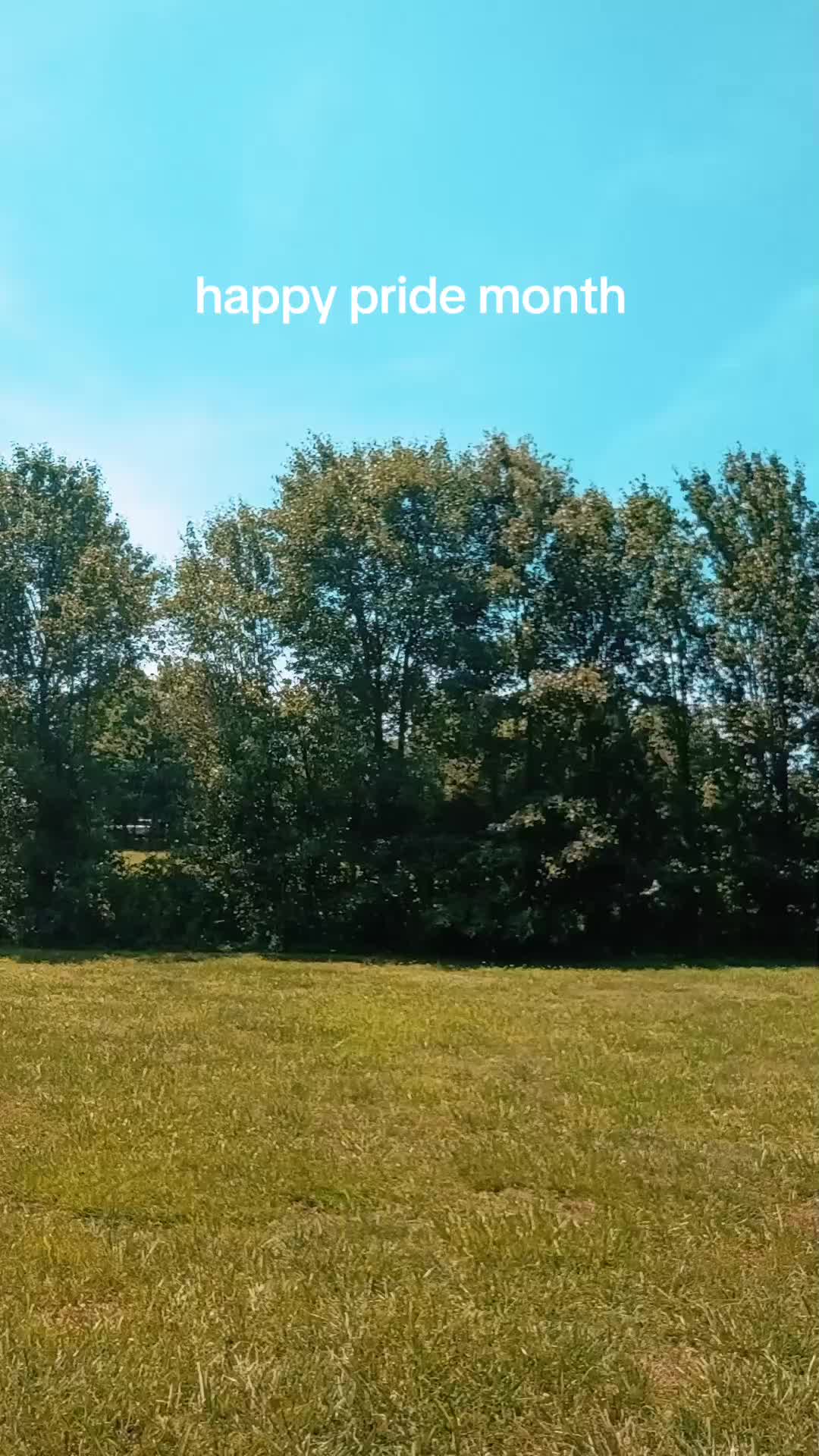 @alex