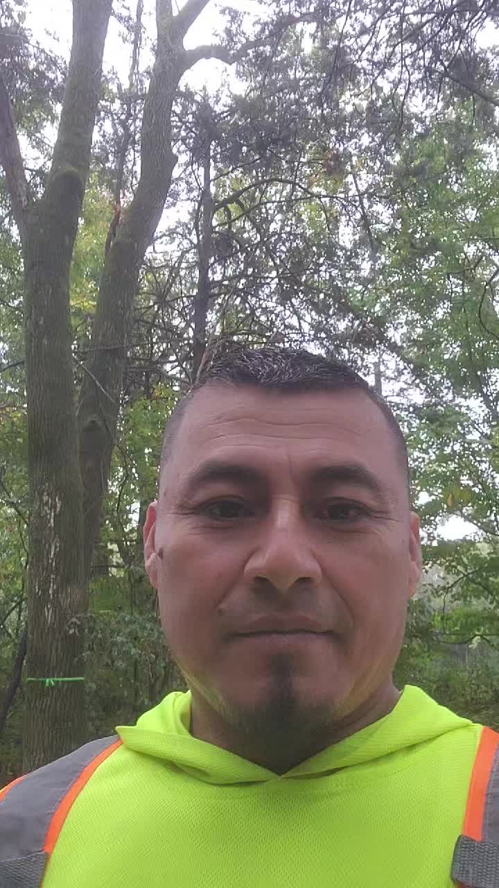 @el 24 maestro de kinder