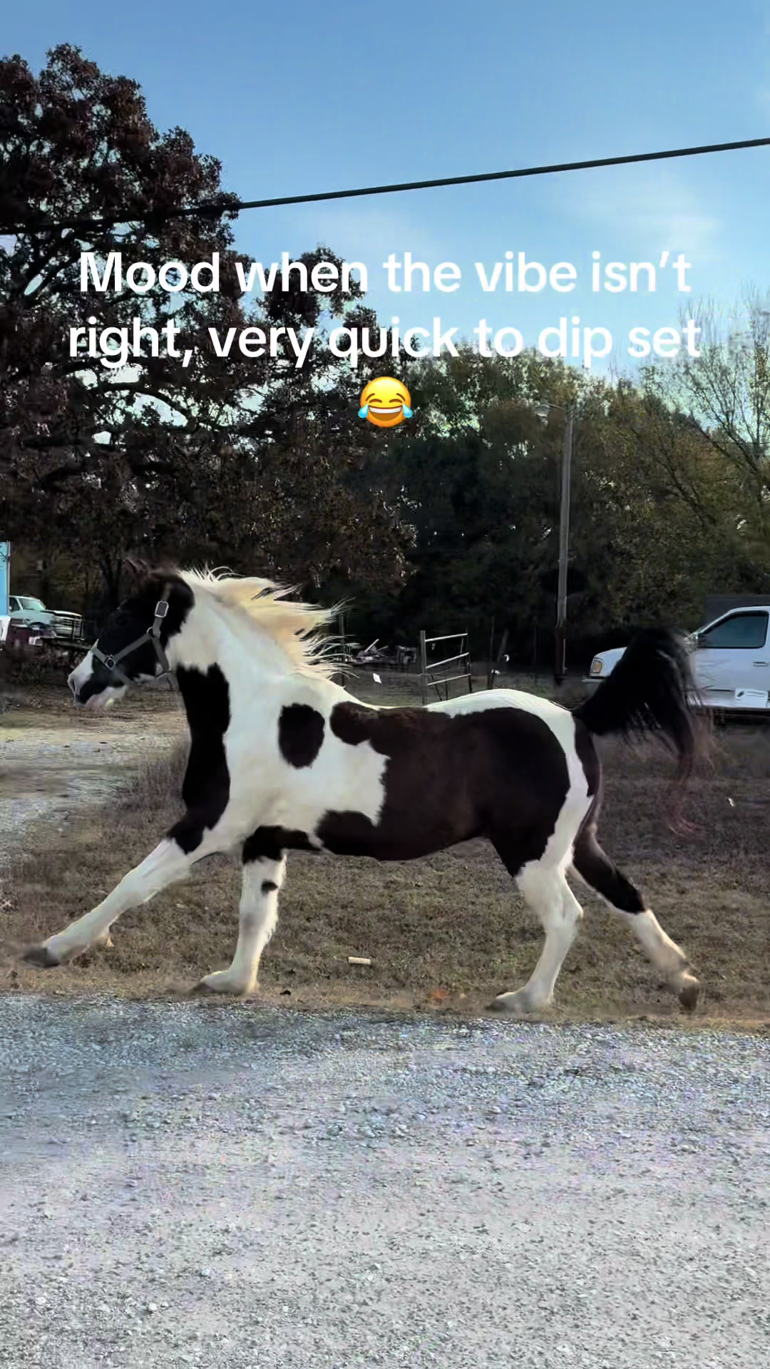 @hippymamatori