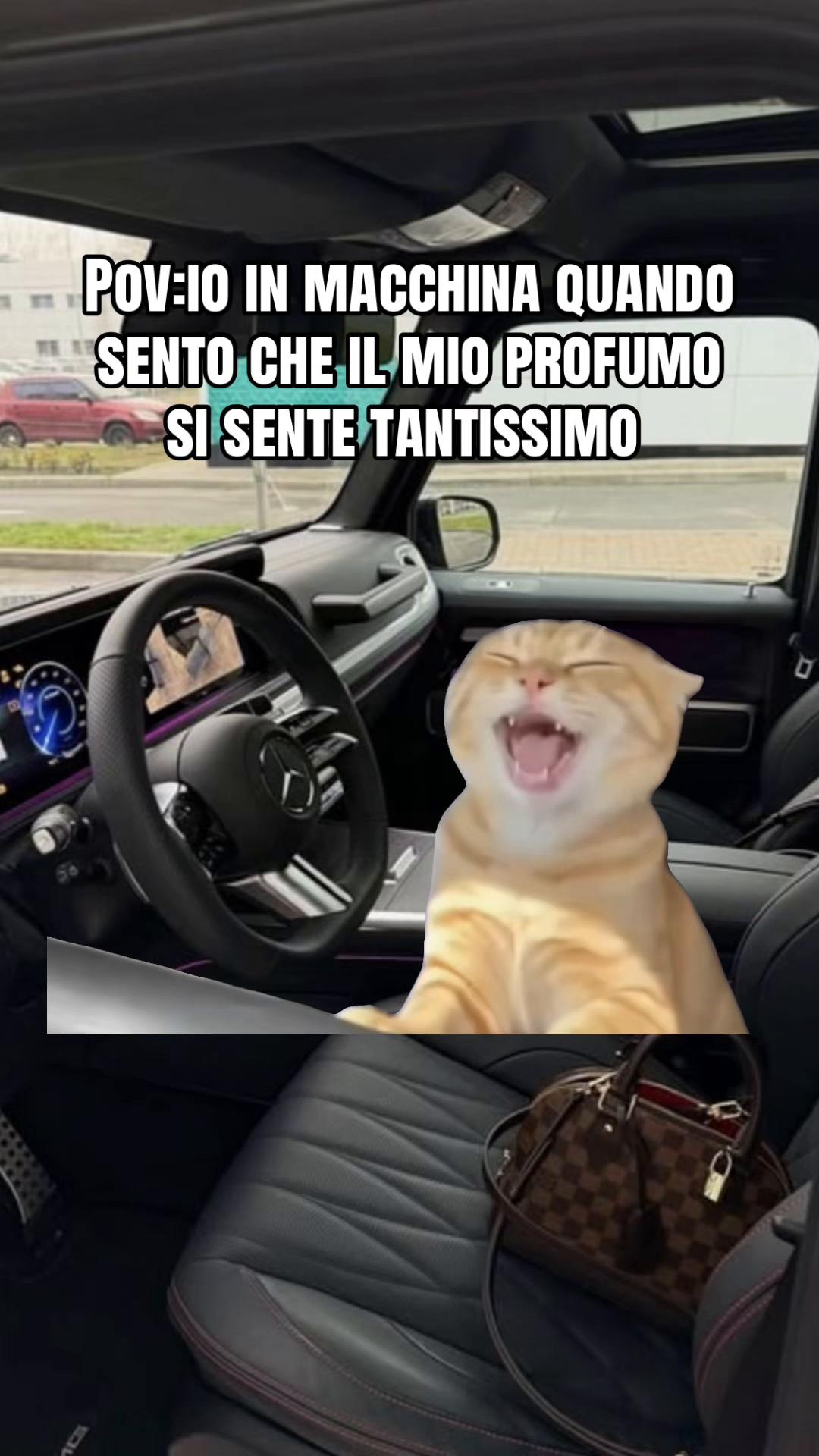 @ᥣᥙᥴ᰻ᥲ🌙🌸🫧