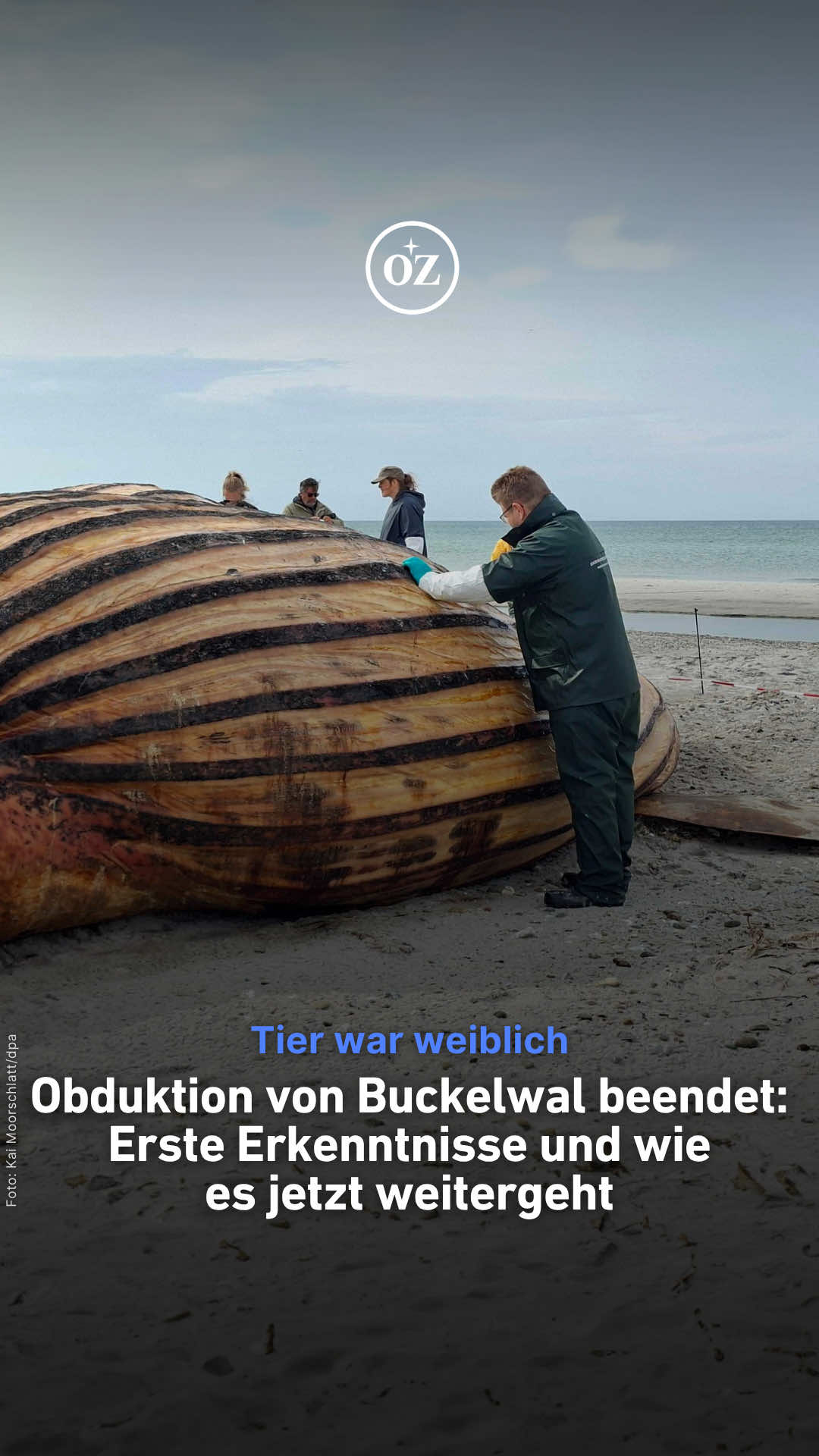 @Deine Ostsee-Zeitung 🌊