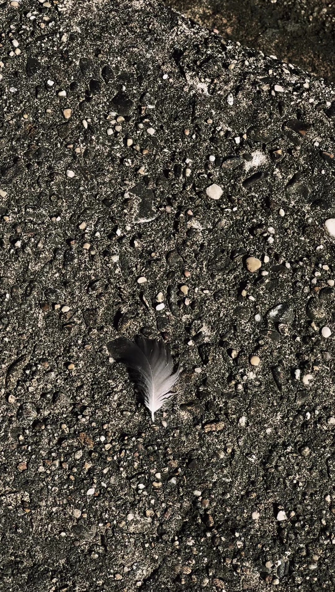 @๐๐ต๐ธ ๐ฟ๐พ๐๐น๐ถ ๐ต๐ธโ๏ธ