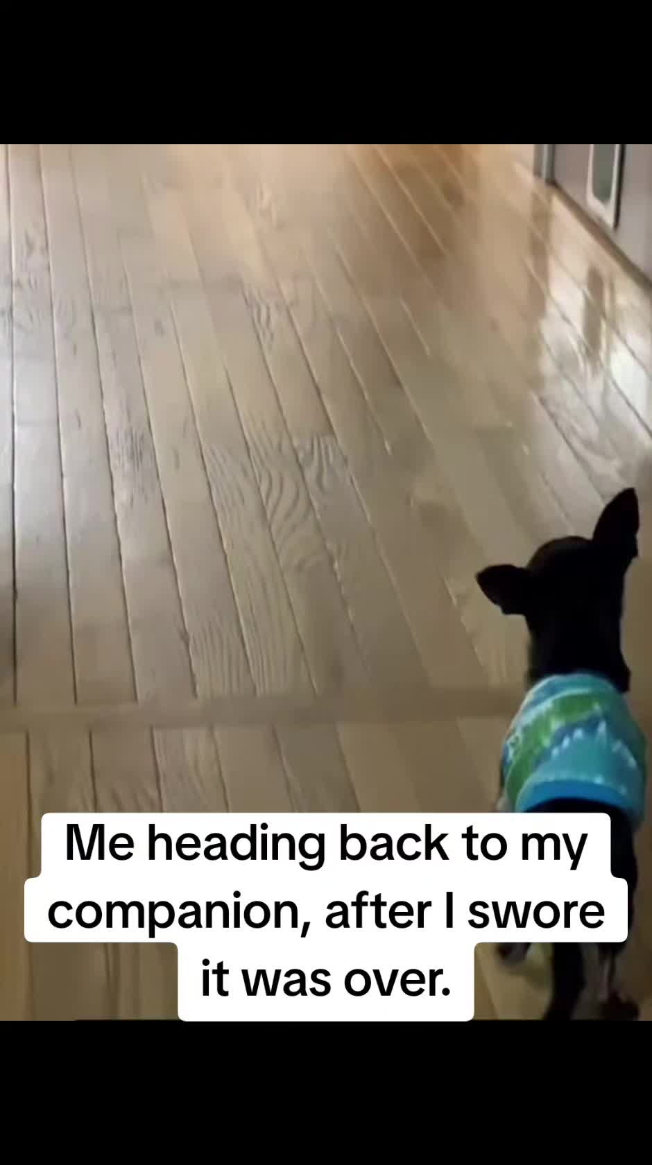 @TheLawnSprinklerGuy