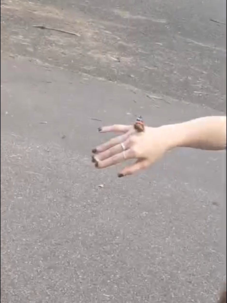 @jansi
