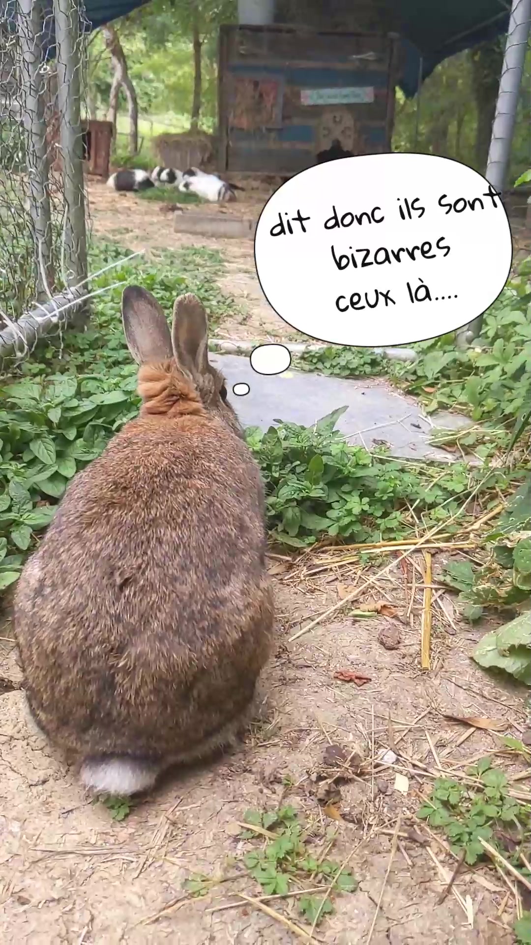 @La Cour des Miracles