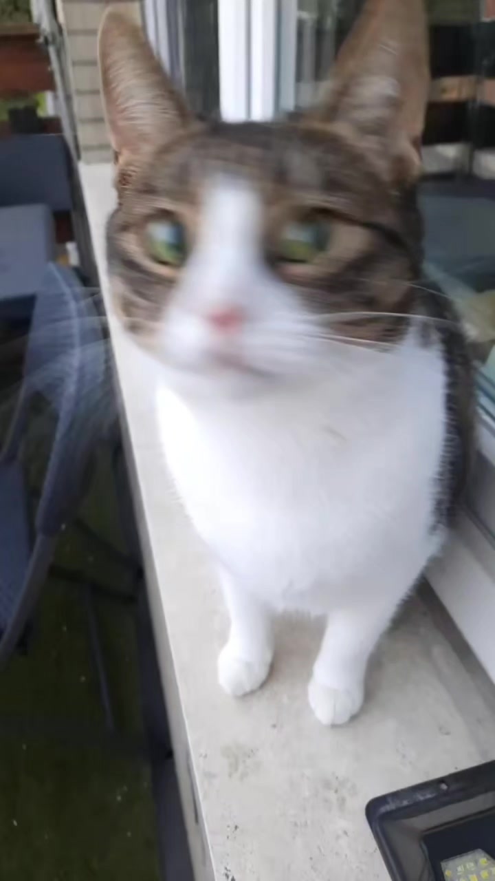 @😸 Alex 😸