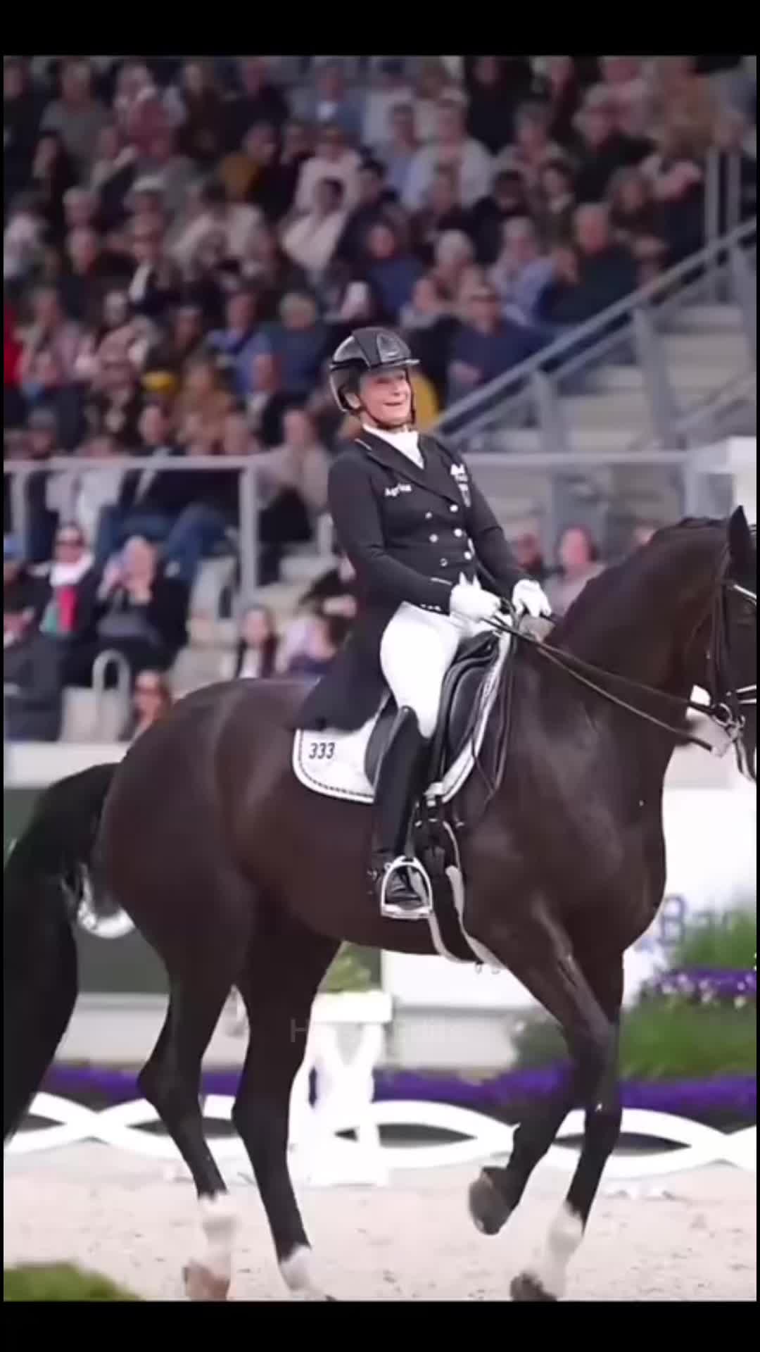 @horse_edits