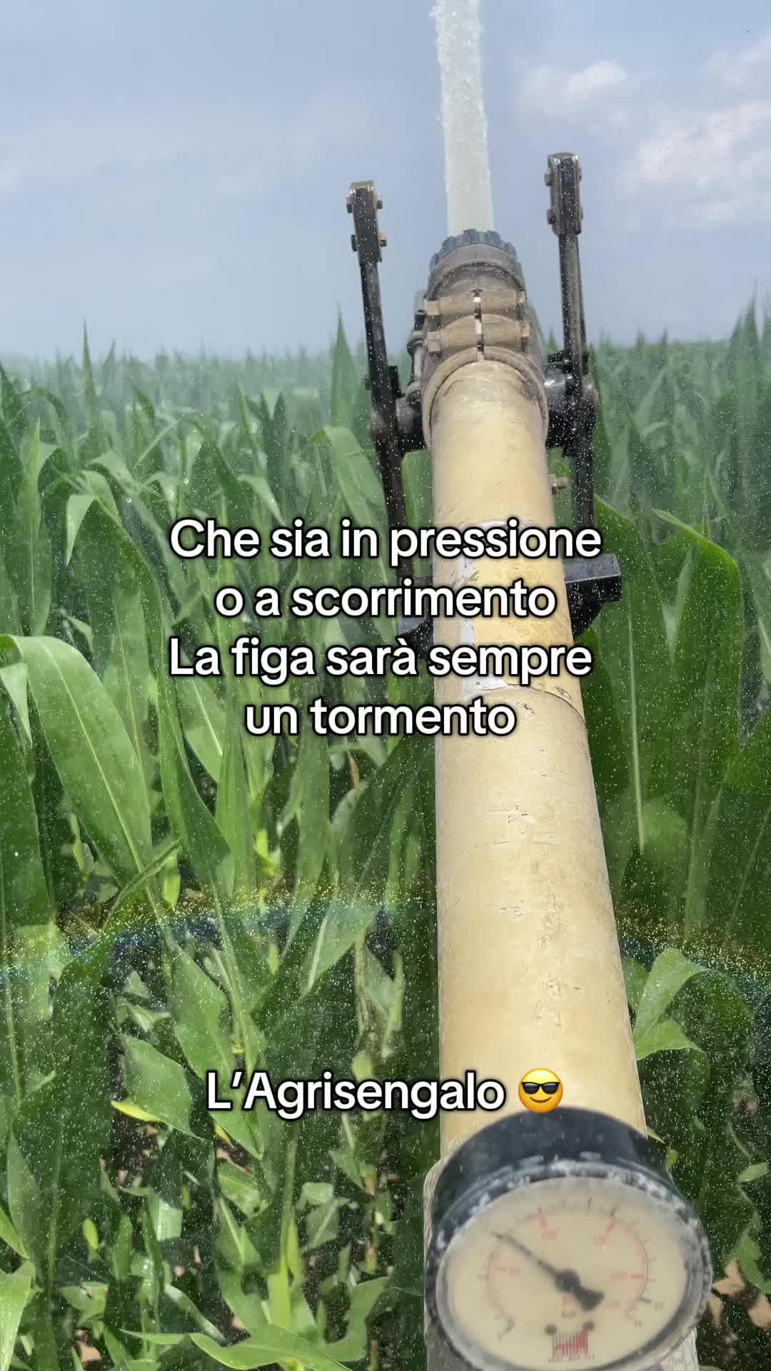 @Agrisengalo😎