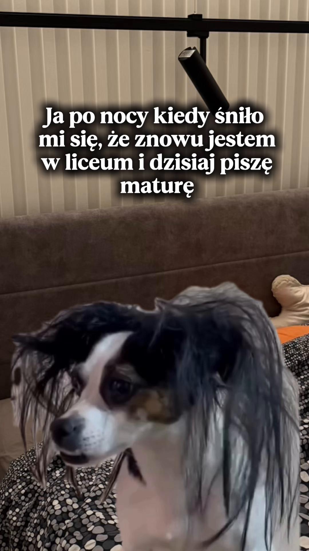 @majakumorseksuolog