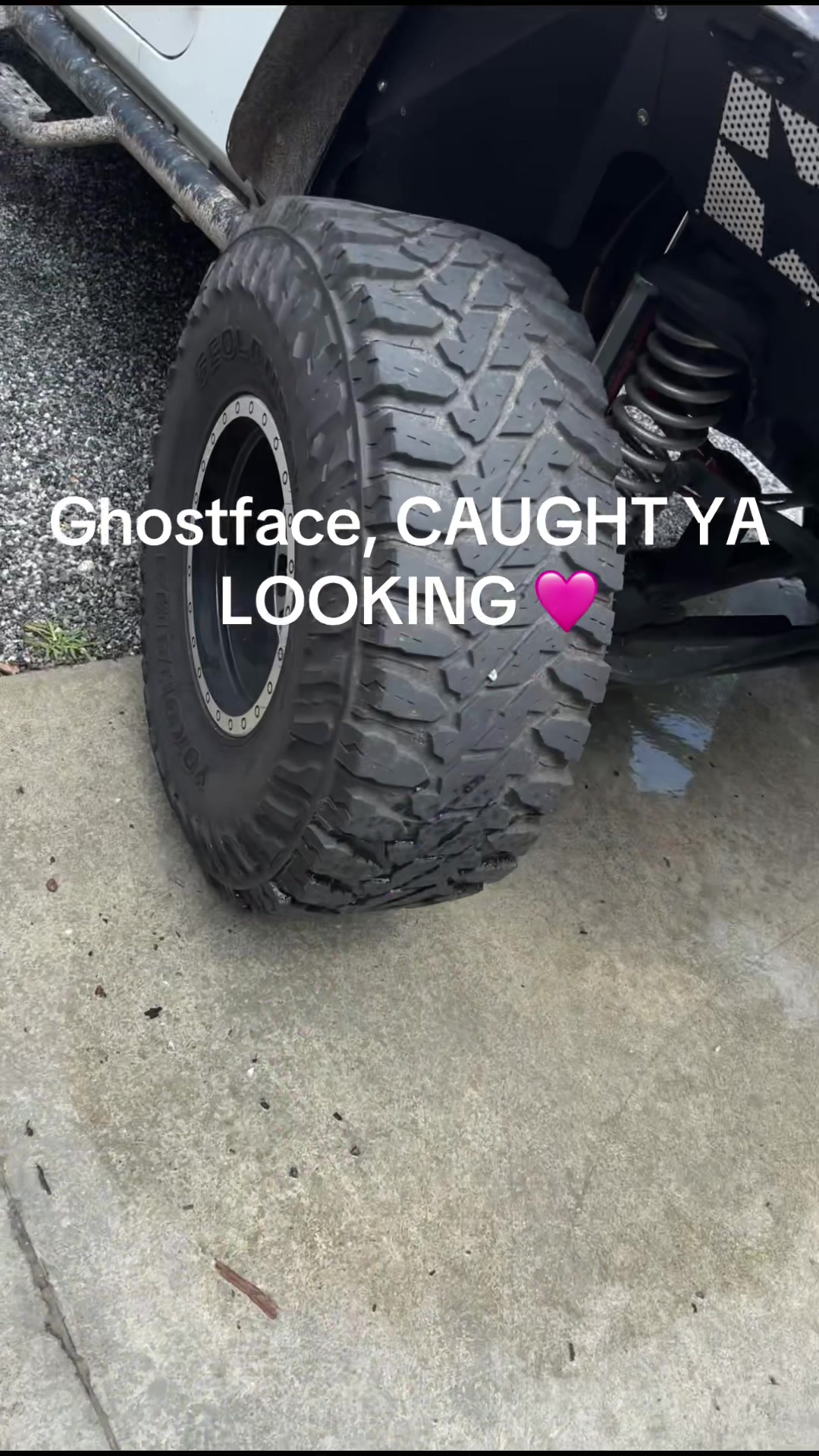 @GHOSTFACE | Hazel Creek Farm🩷