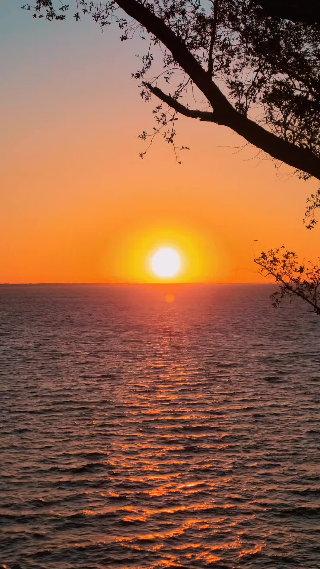 @haystack7777