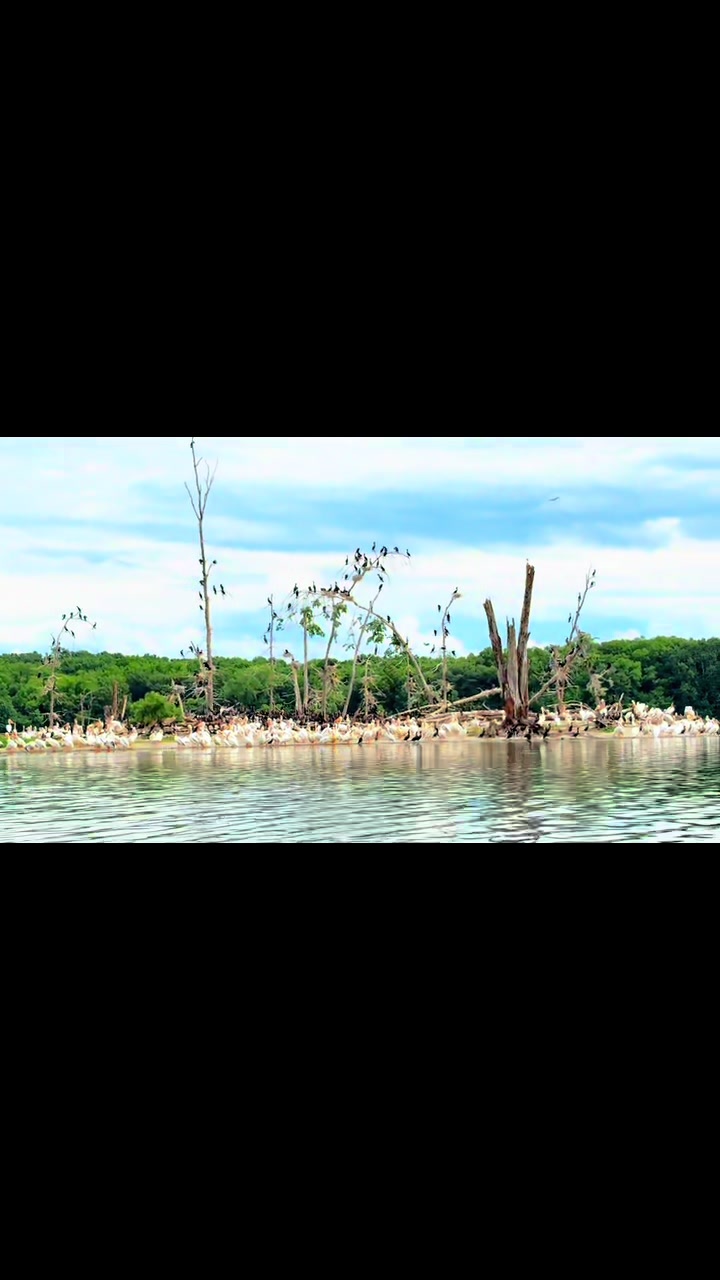 @HeatherFeatherTellstheWeather