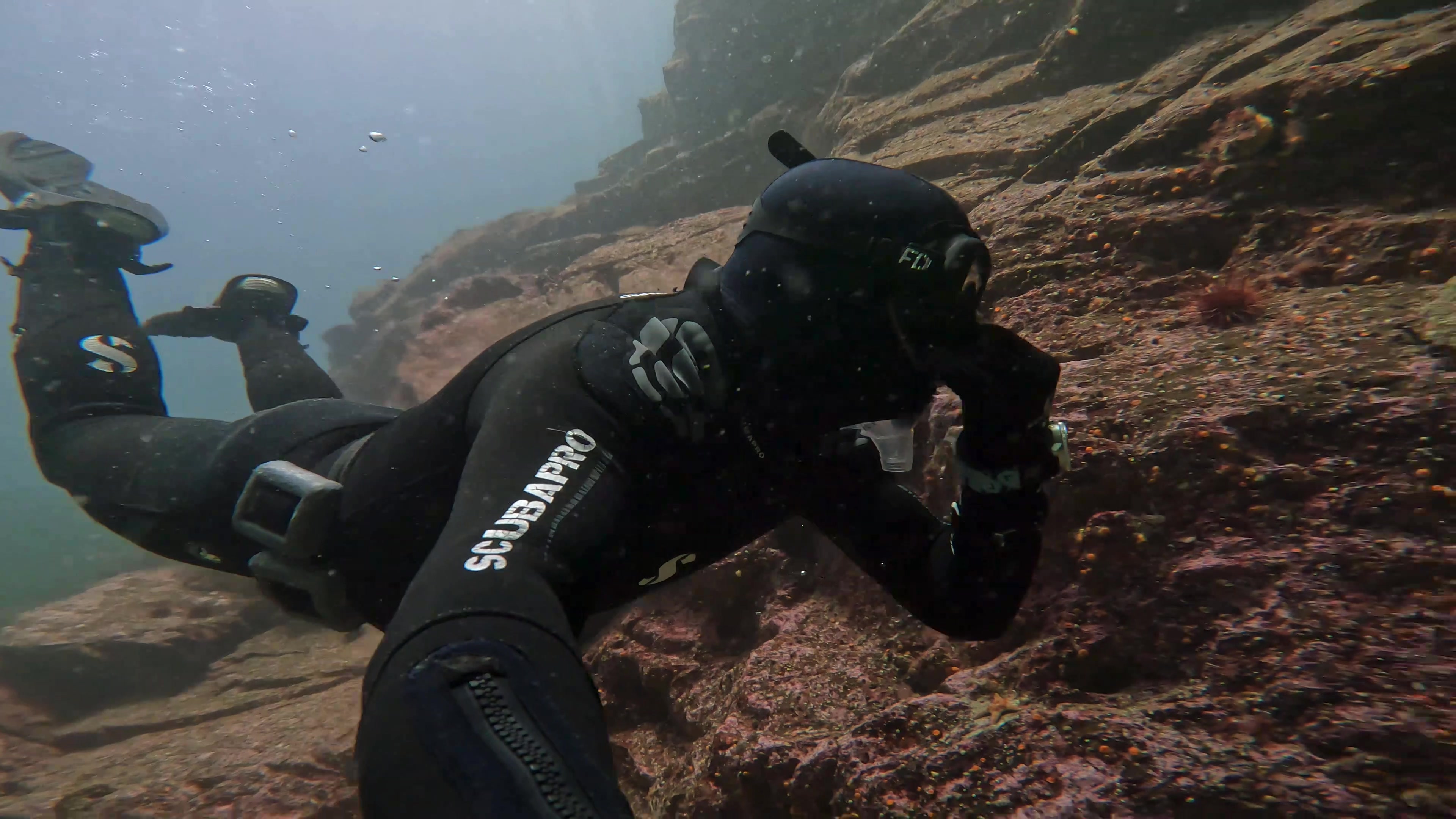 @Snorkel Alaska
