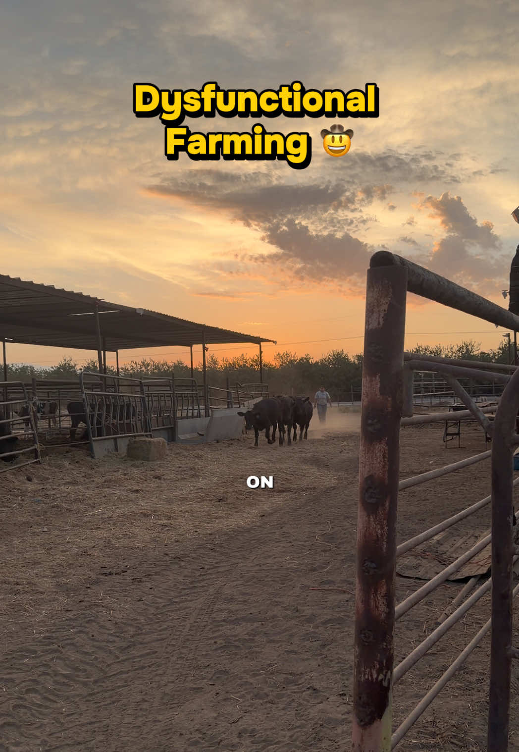 @Skylar Farming