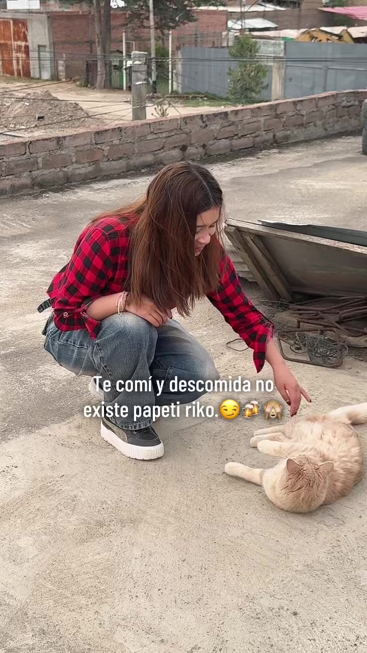 @🐉Pekitas