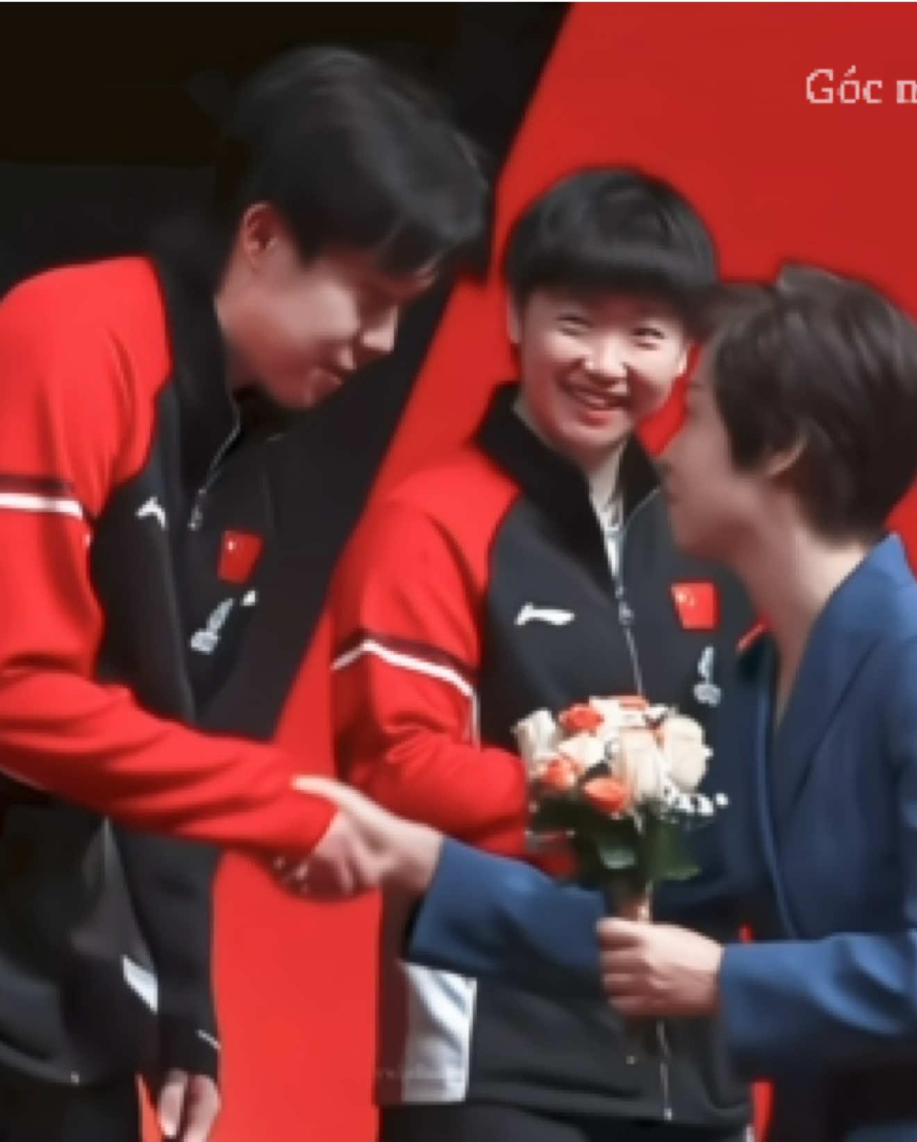 @Góc nhỏ dành cho ShaTou🦁🦈❤️