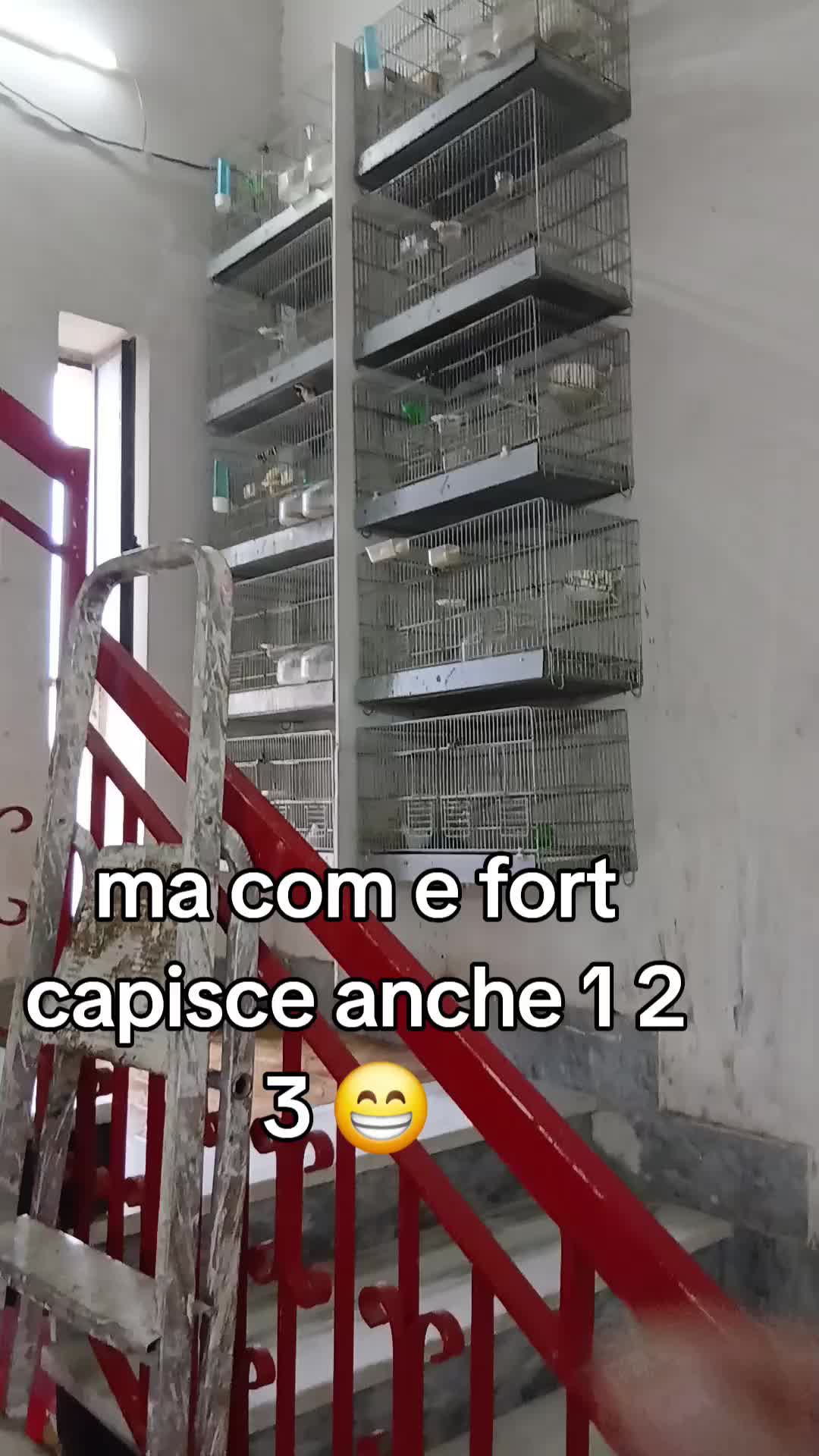 @Leonardo Dellacorte