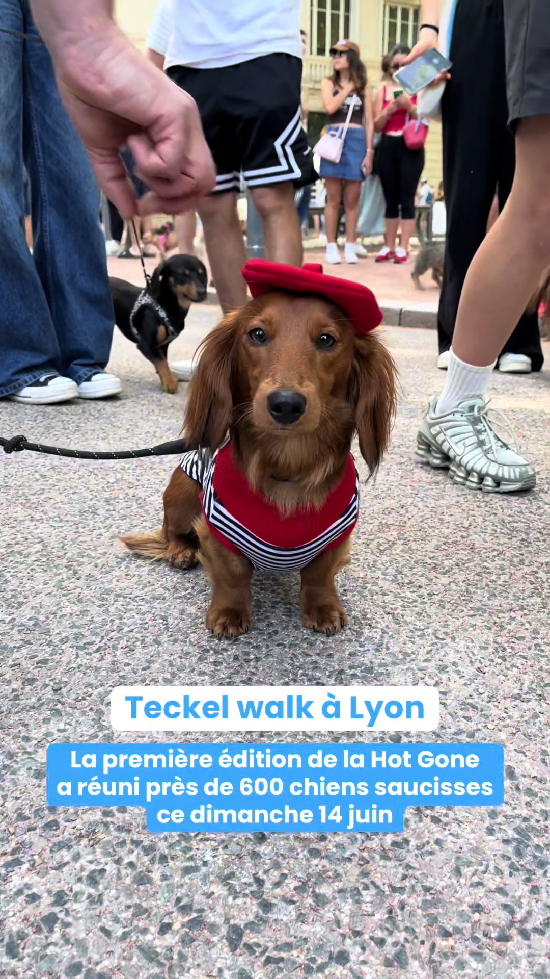 @actu Lyon