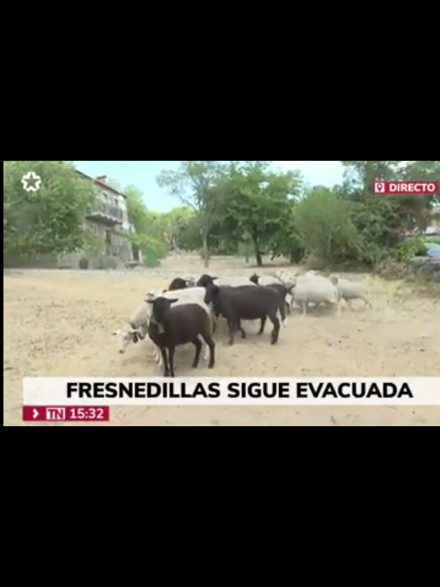 @David Casasús