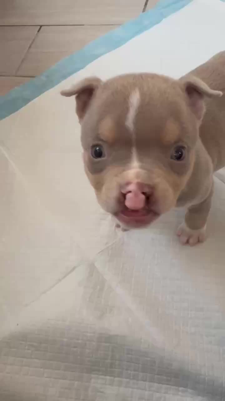 @Cleft Rescue Unit