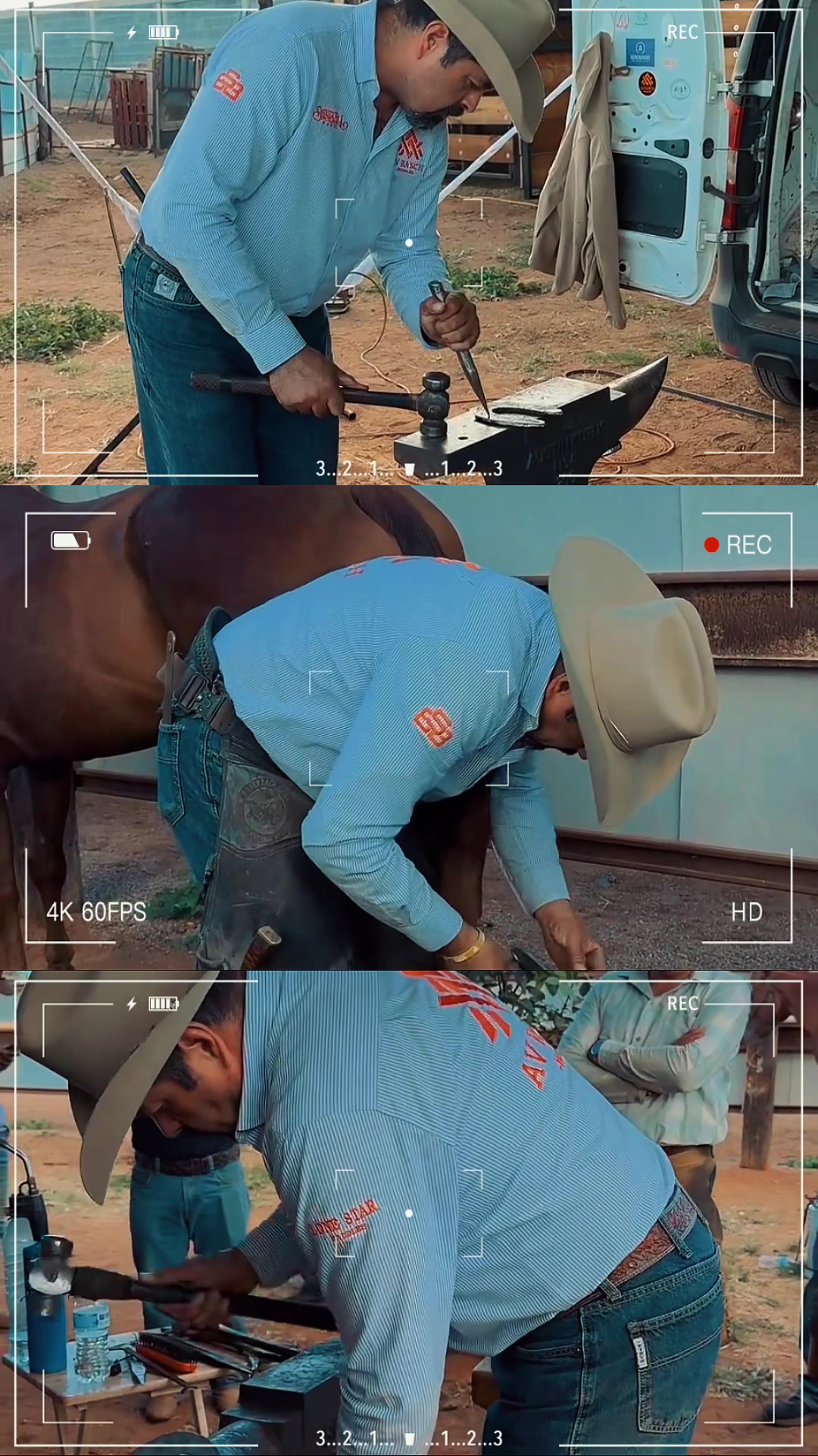 @Meneses Farrier