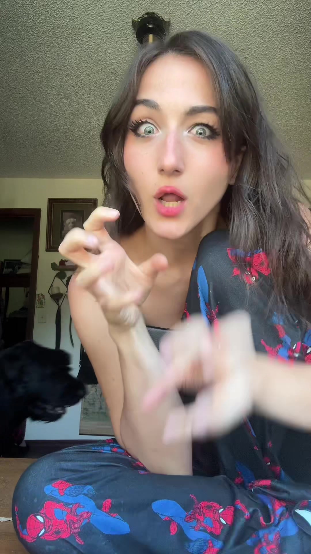@LUDA