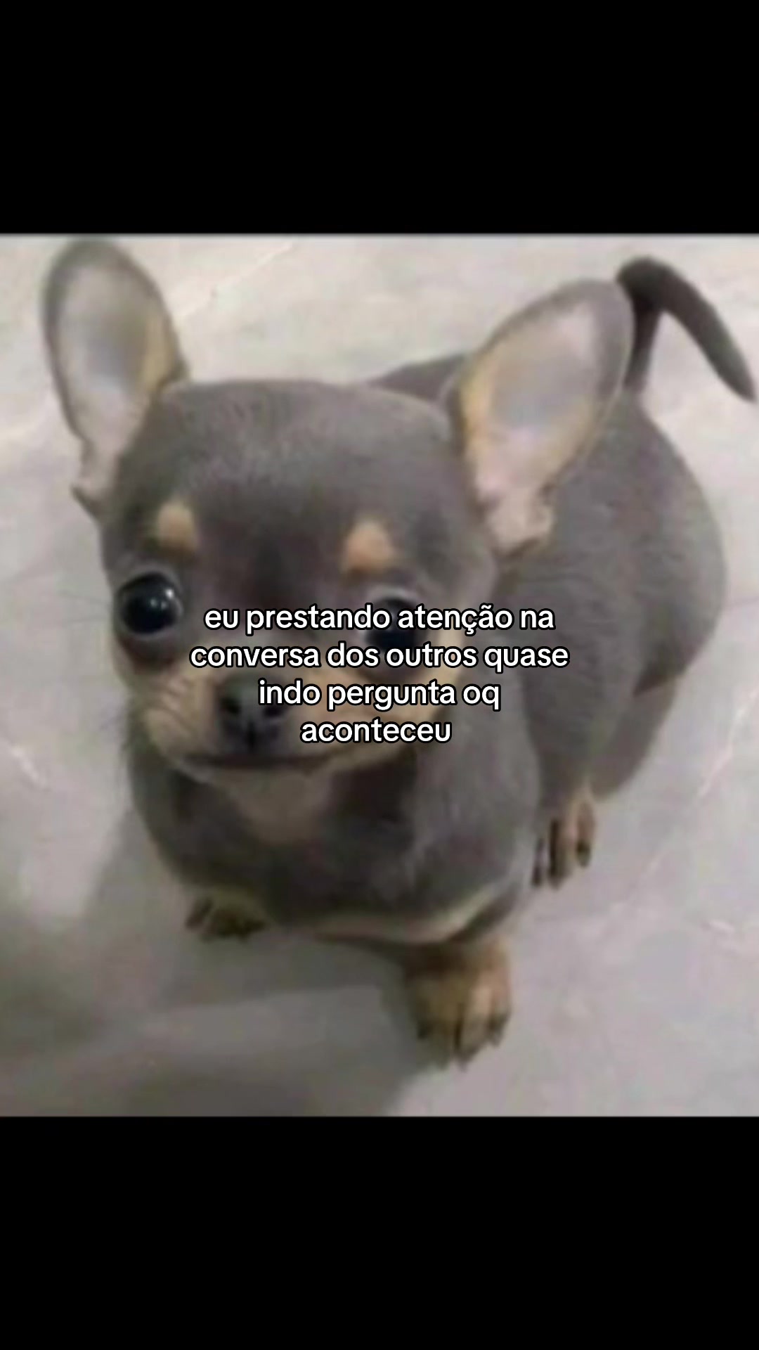 @republicadoss_67