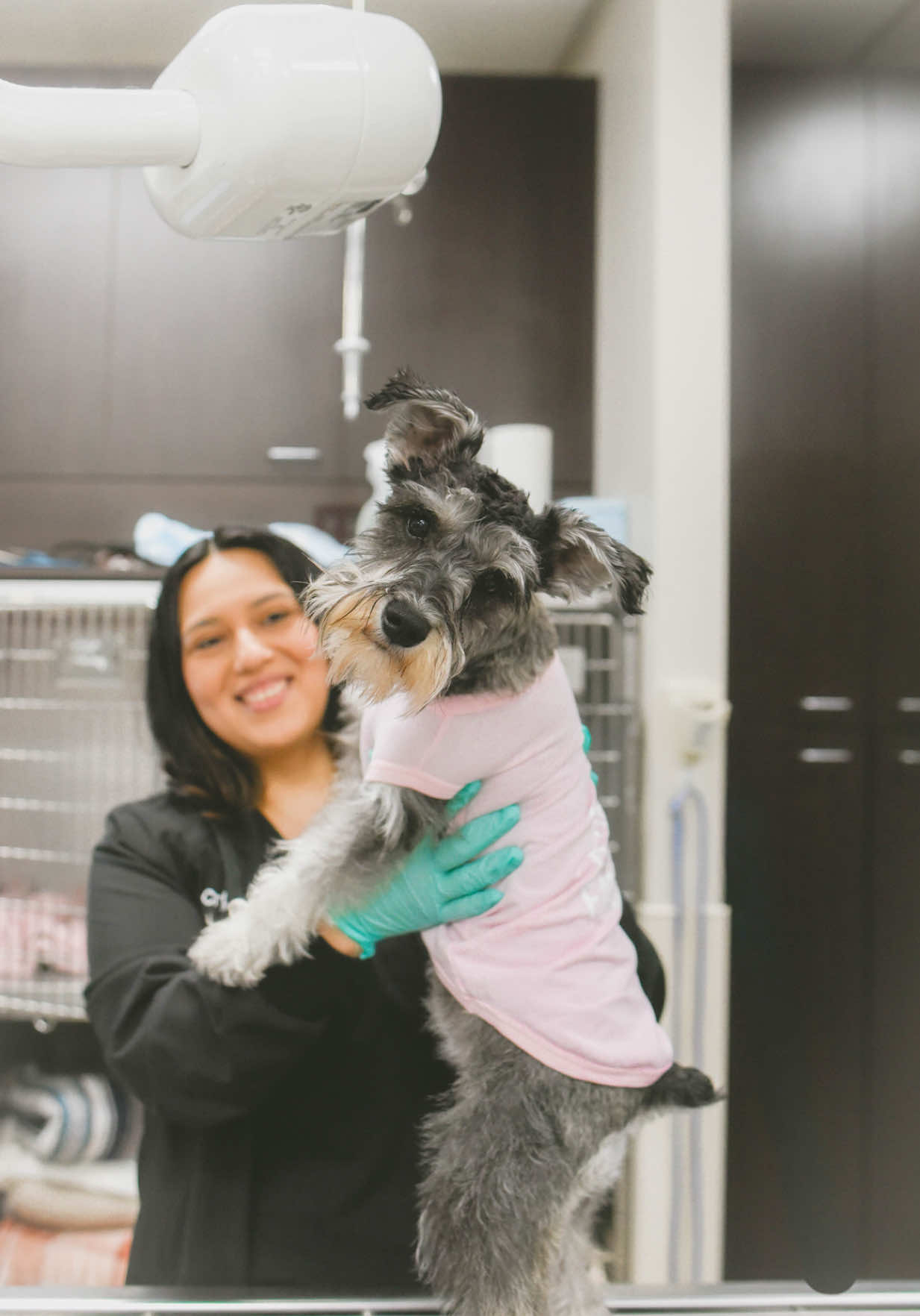 @Affiliated Vet