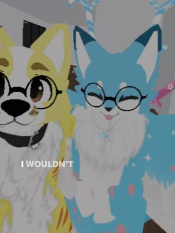 @snowflake🦊fox