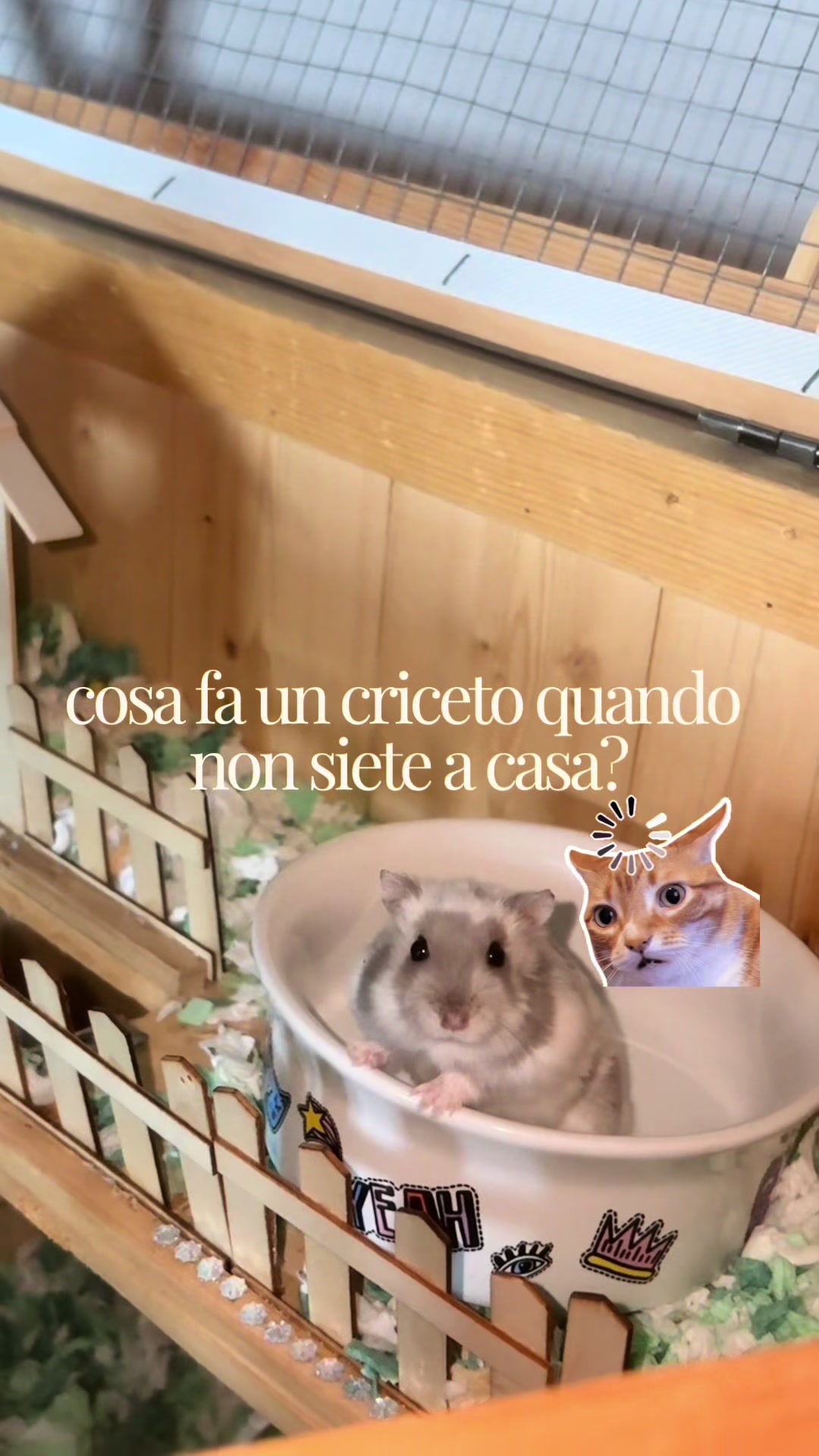 @Rí
