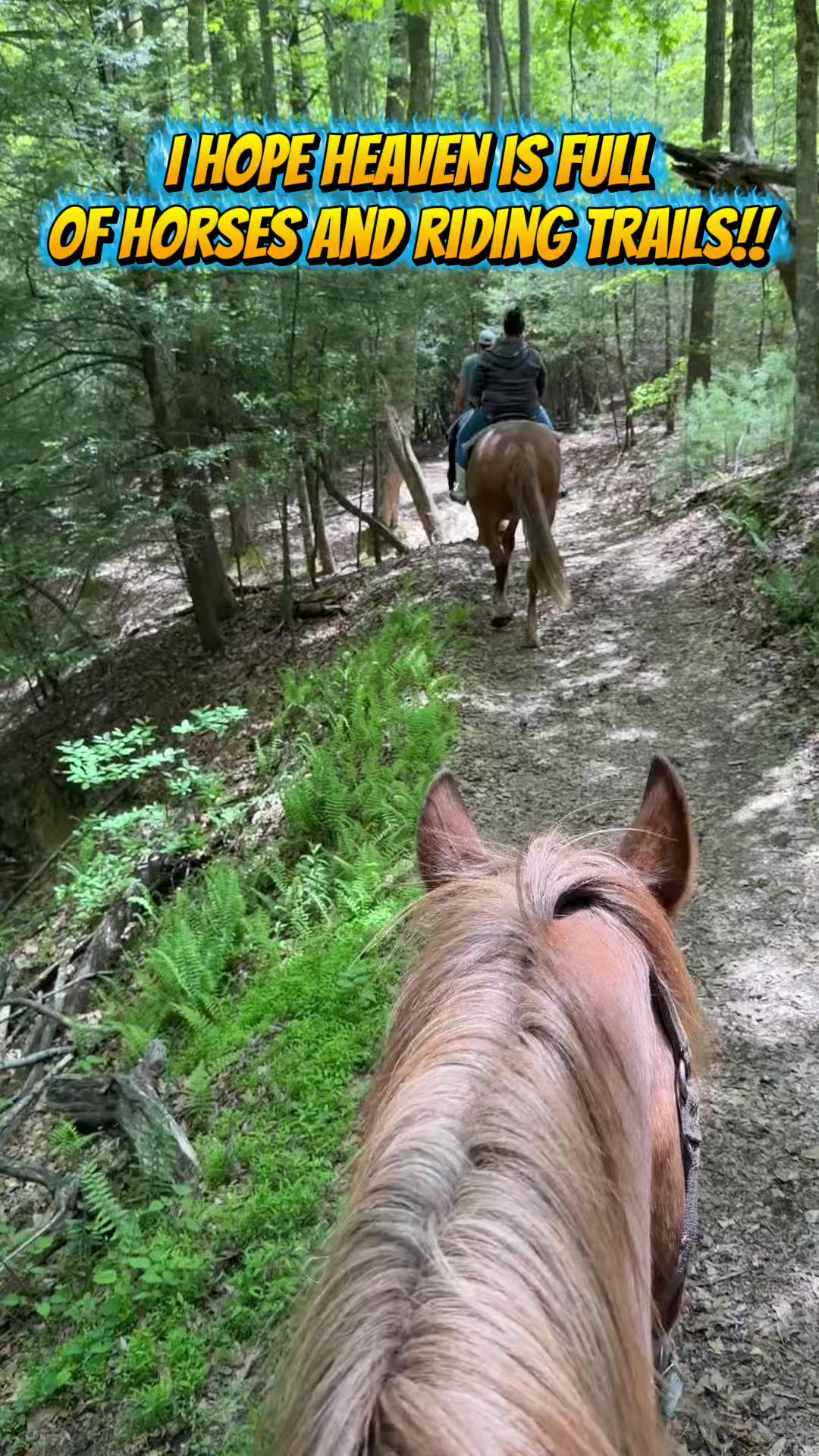 @Heavenly Hills Homestead