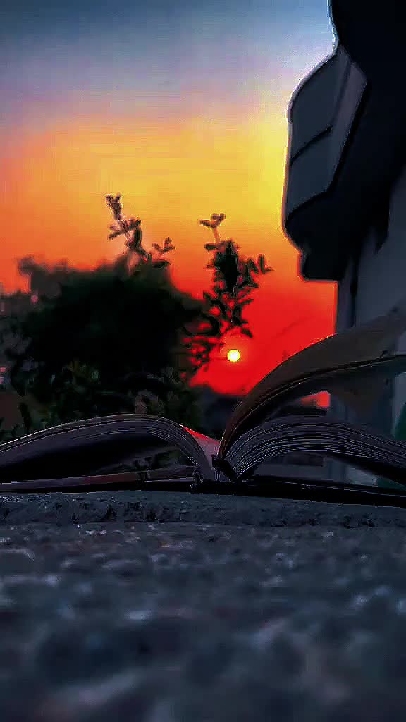 @Bagira62