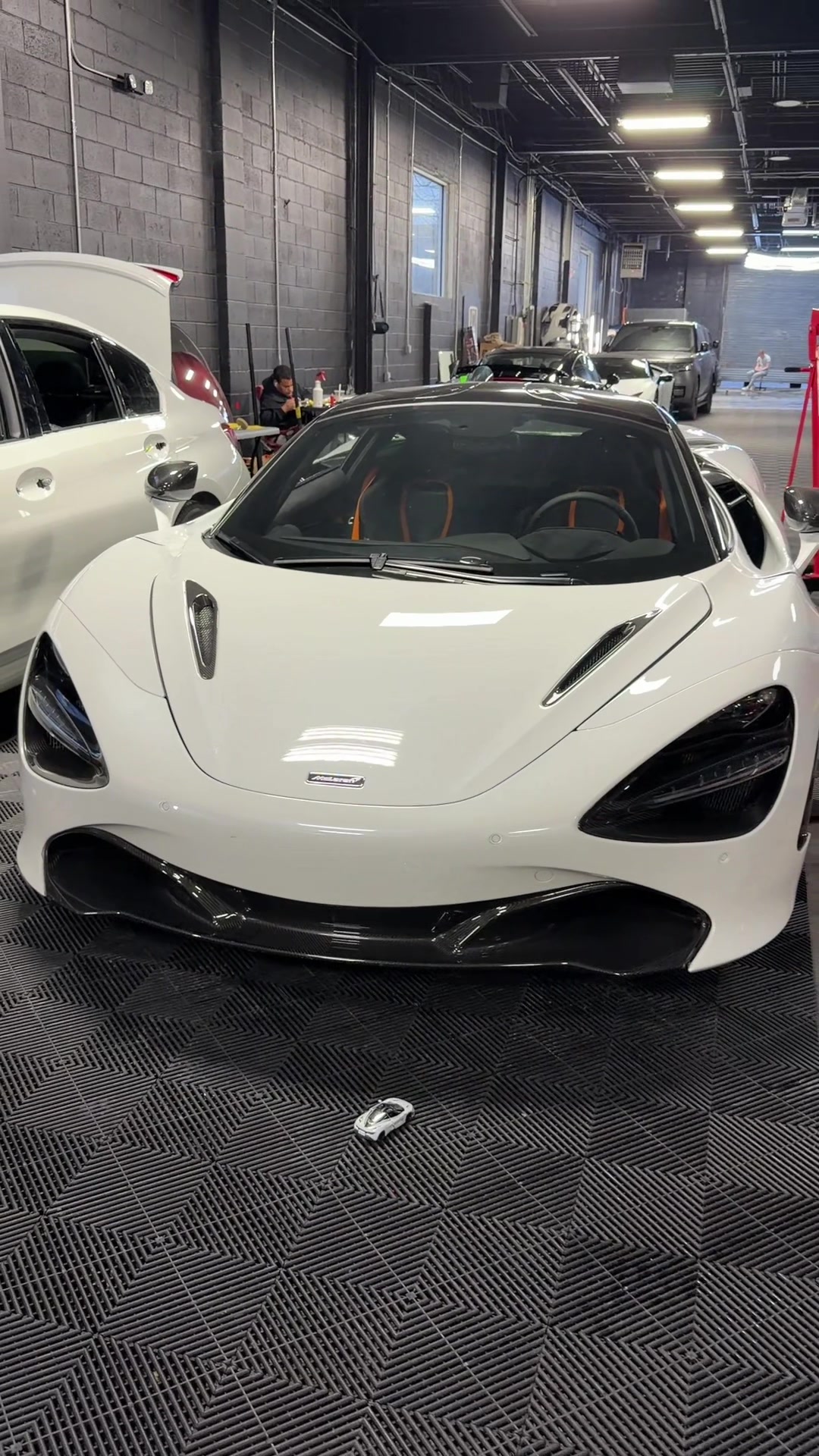 @Champexotics