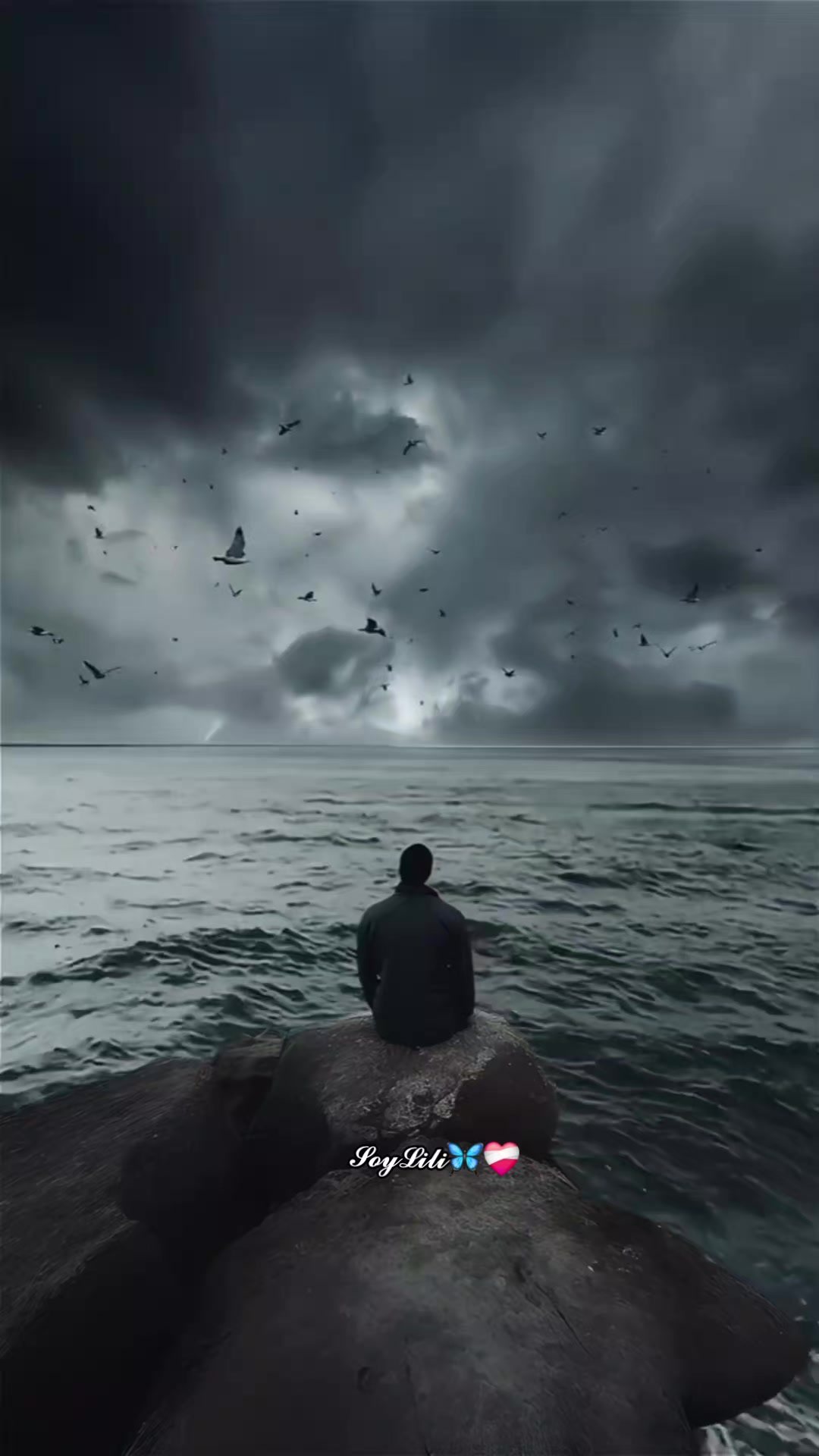 @𝓢𝓸𝔂𝓛𝓲𝓵𝓲🦋❤️&zwj;🩹
