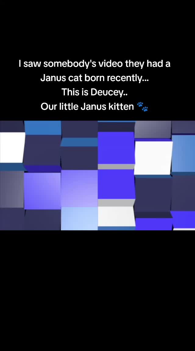 @JulesPD❌