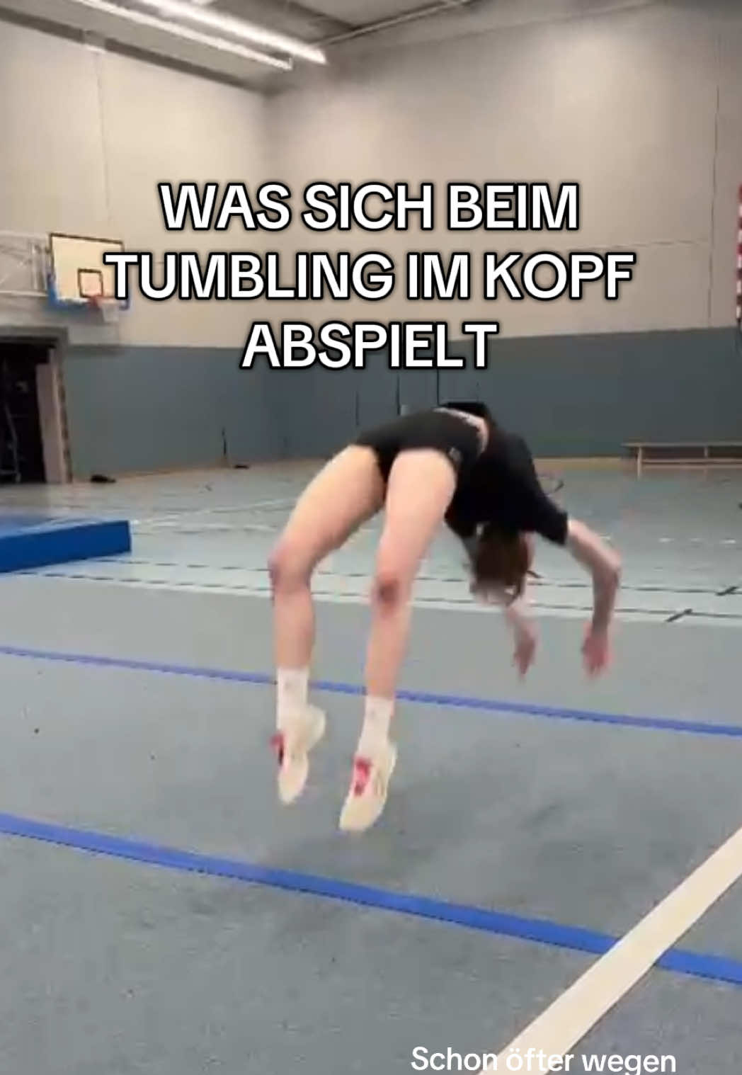 @Schmusis