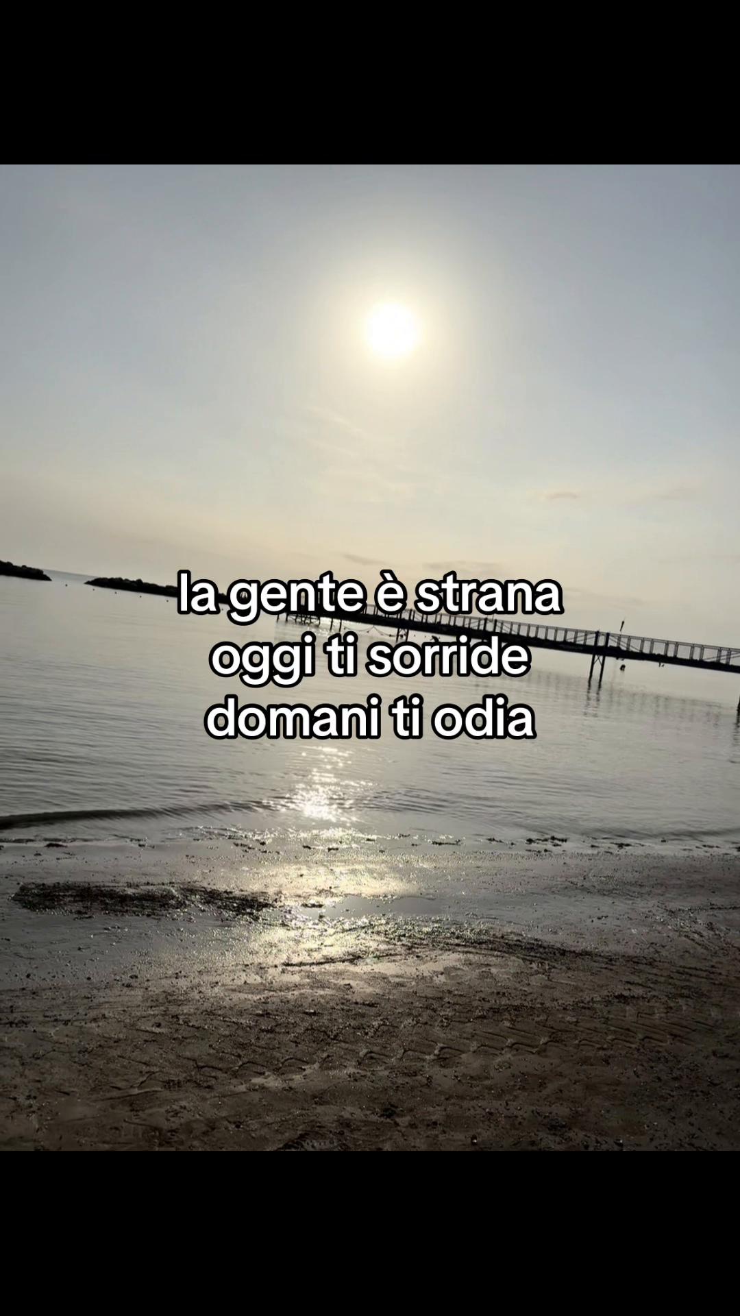 @lucacacciapuoti4