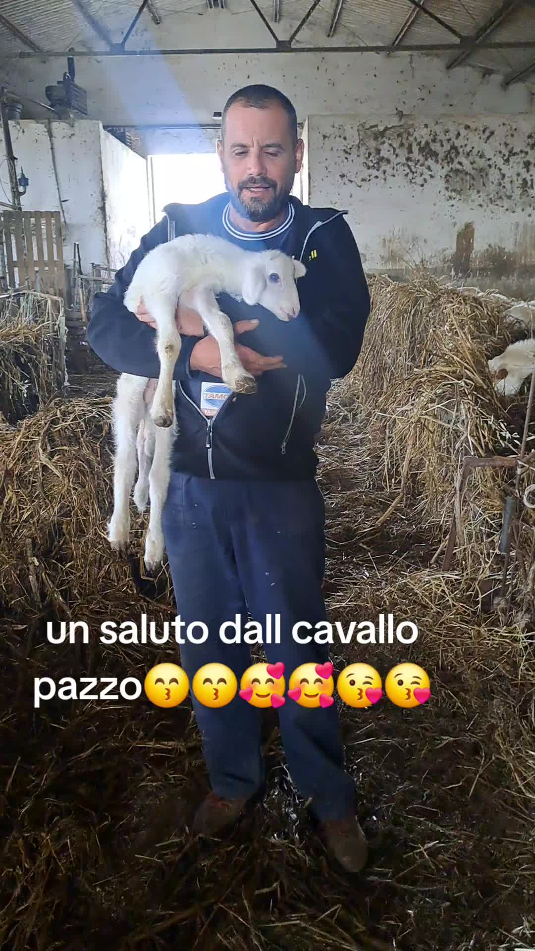@Gianpaolo Traina