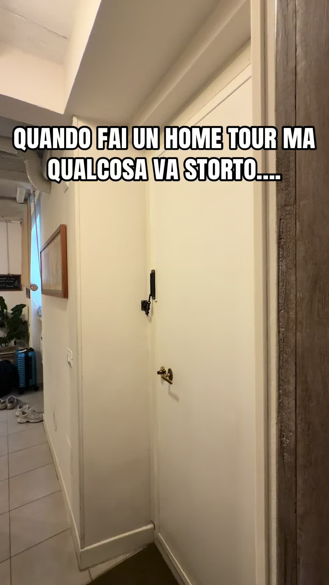 @Randa Fernicola