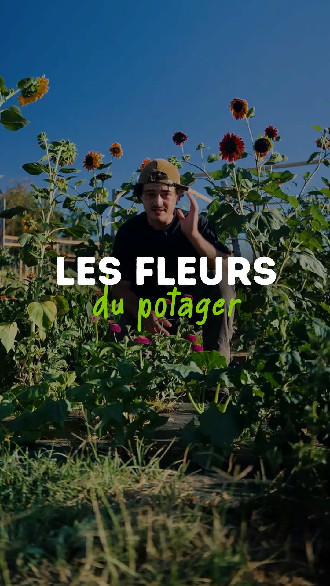 @Goran Le Permaculteur